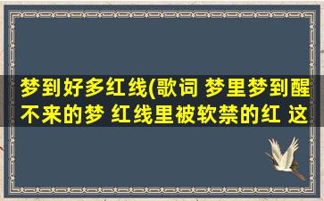 梦到好多红线(歌词 梦里梦到醒不来的梦 红线里被软禁的红 这首歌名叫什么)